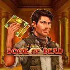 Book of Dead logo by Play'n GO GoldSpin Casino